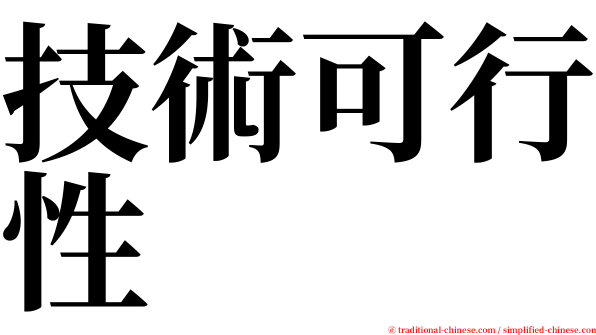 技術可行性 serif font