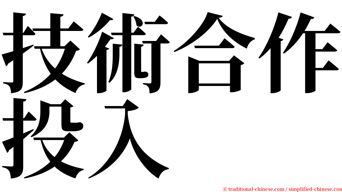 技術合作投入 serif font