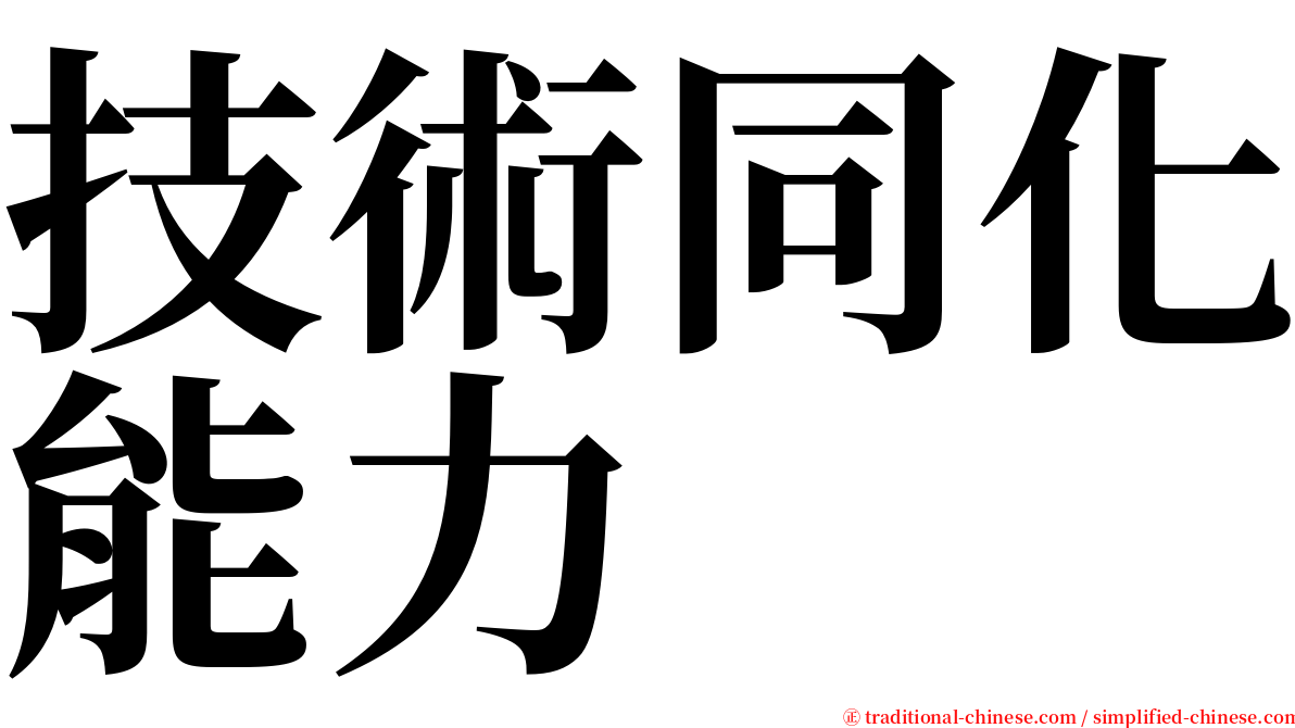 技術同化能力 serif font