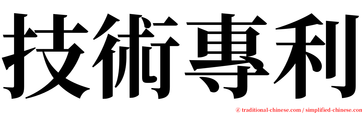 技術專利 serif font