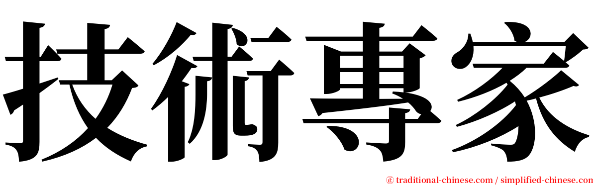 技術專家 serif font