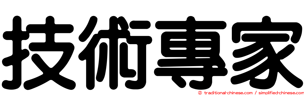 技術專家