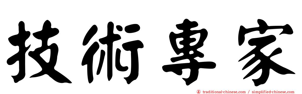 技術專家