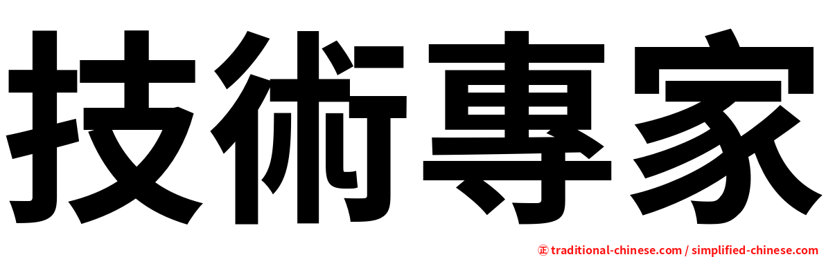 技術專家