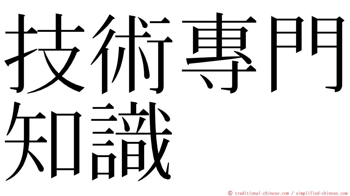 技術專門知識 ming font