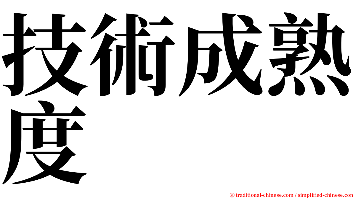 技術成熟度 serif font