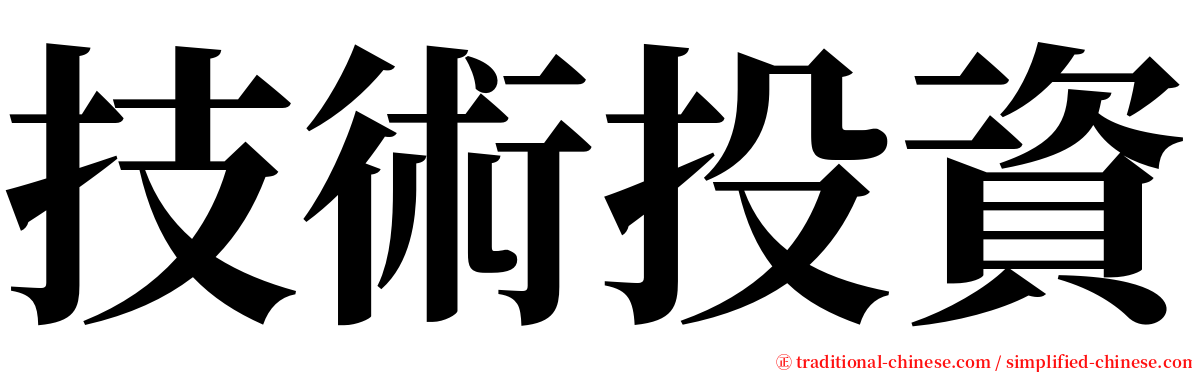技術投資 serif font