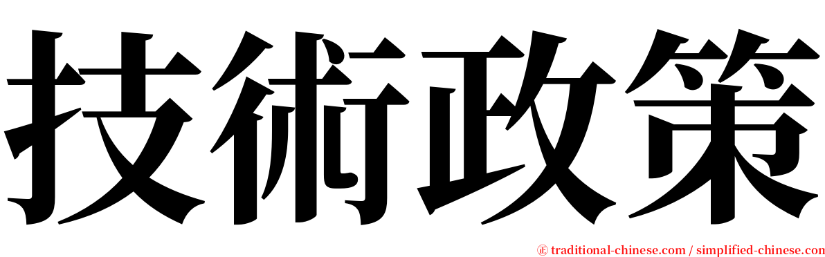 技術政策 serif font