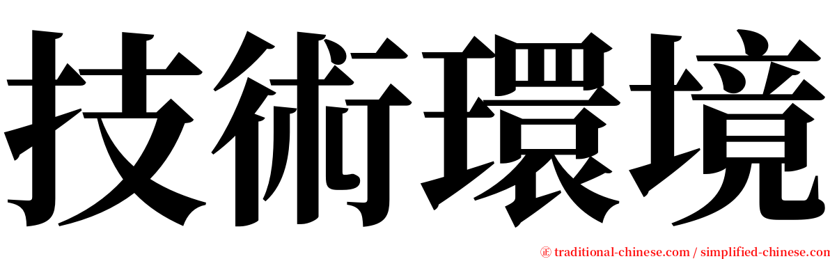 技術環境 serif font