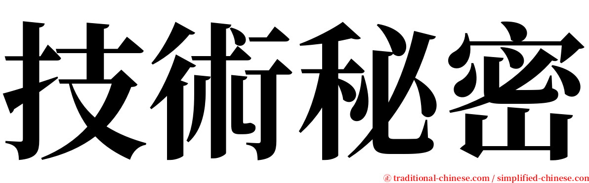 技術秘密 serif font