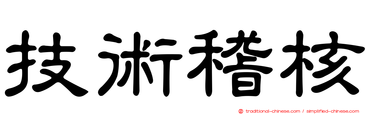技術稽核
