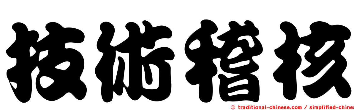 技術稽核