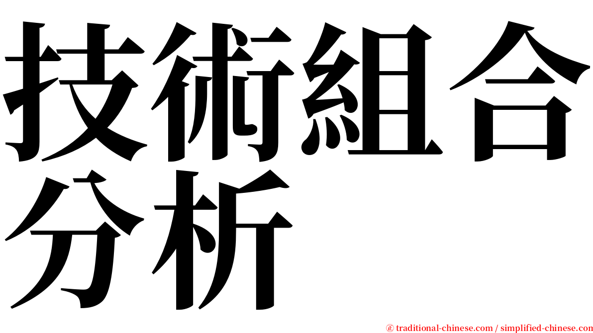 技術組合分析 serif font