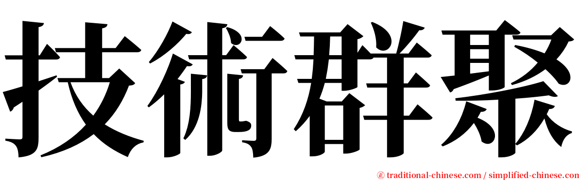 技術群聚 serif font