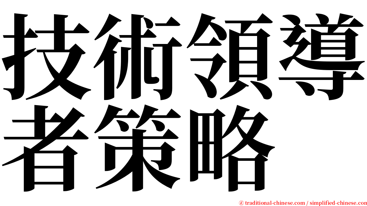 技術領導者策略 serif font