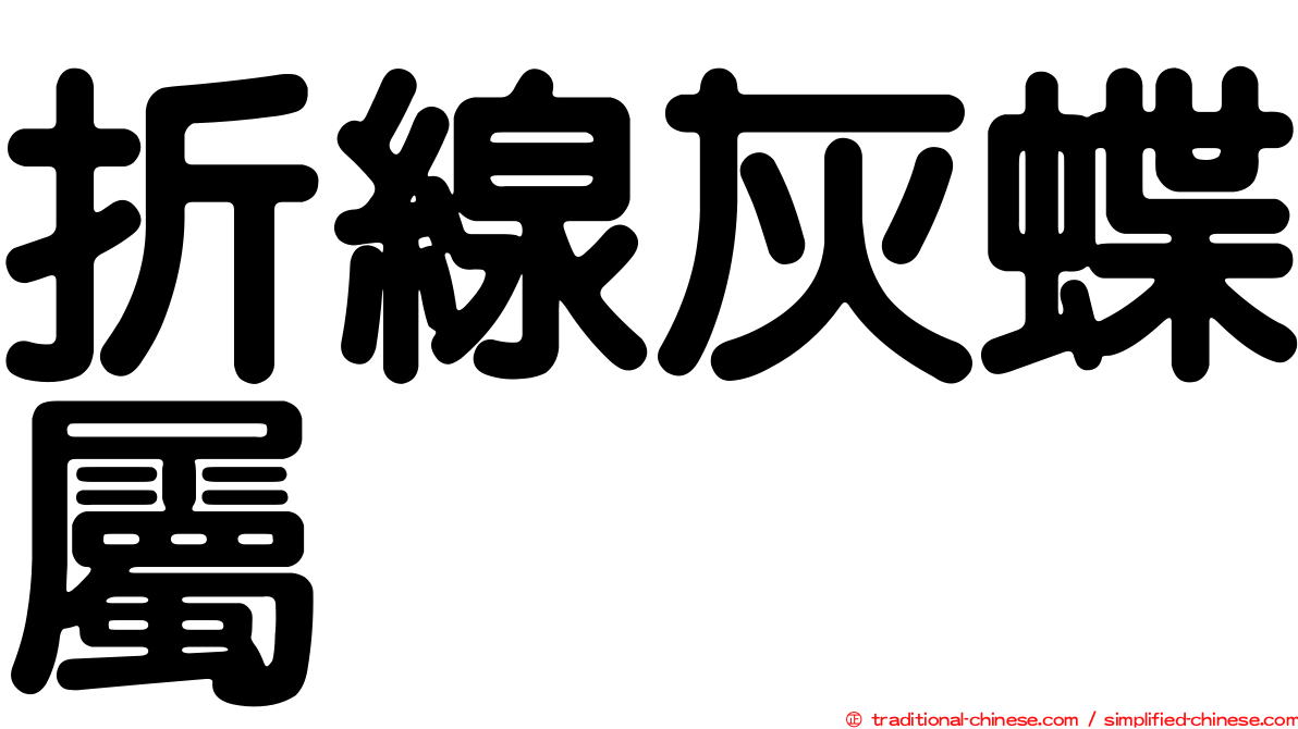折線灰蝶屬