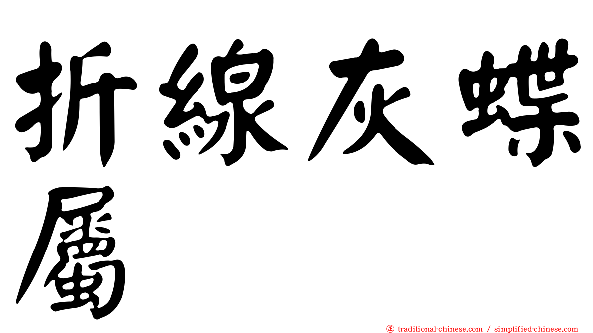折線灰蝶屬