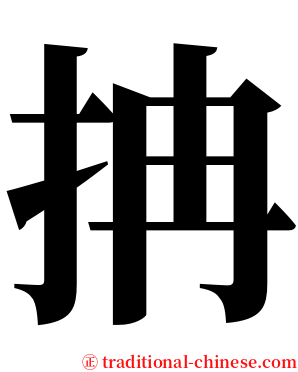 抩 serif font