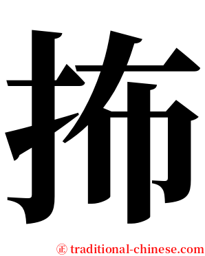 抪 serif font
