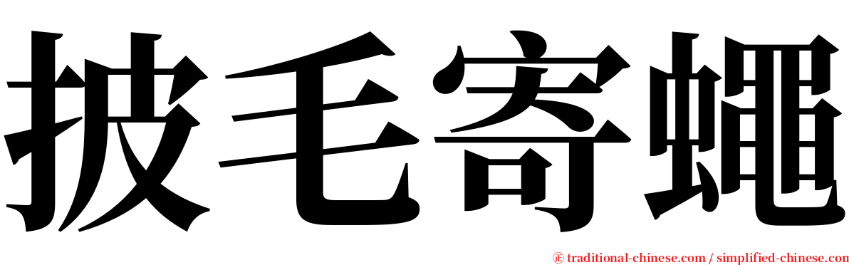 披毛寄蠅 serif font