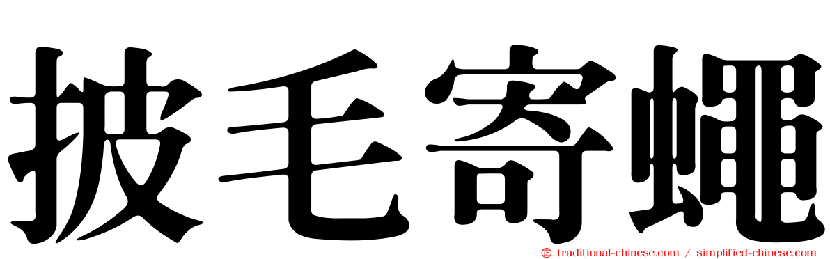 披毛寄蠅