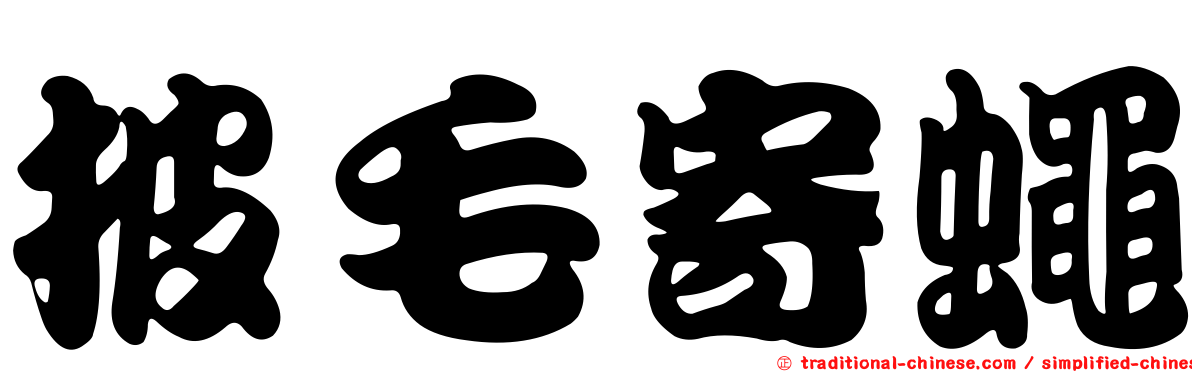披毛寄蠅