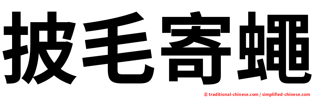 披毛寄蠅