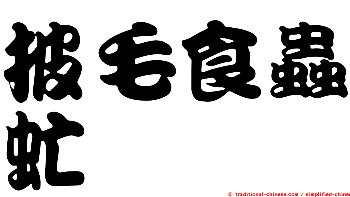 披毛食蟲虻