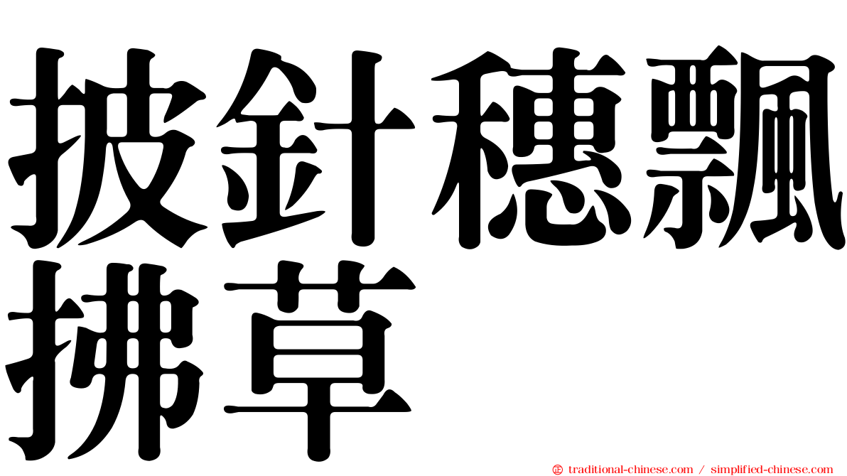 披針穗飄拂草