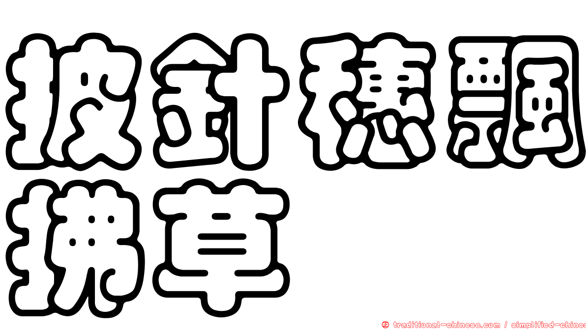 披針穗飄拂草