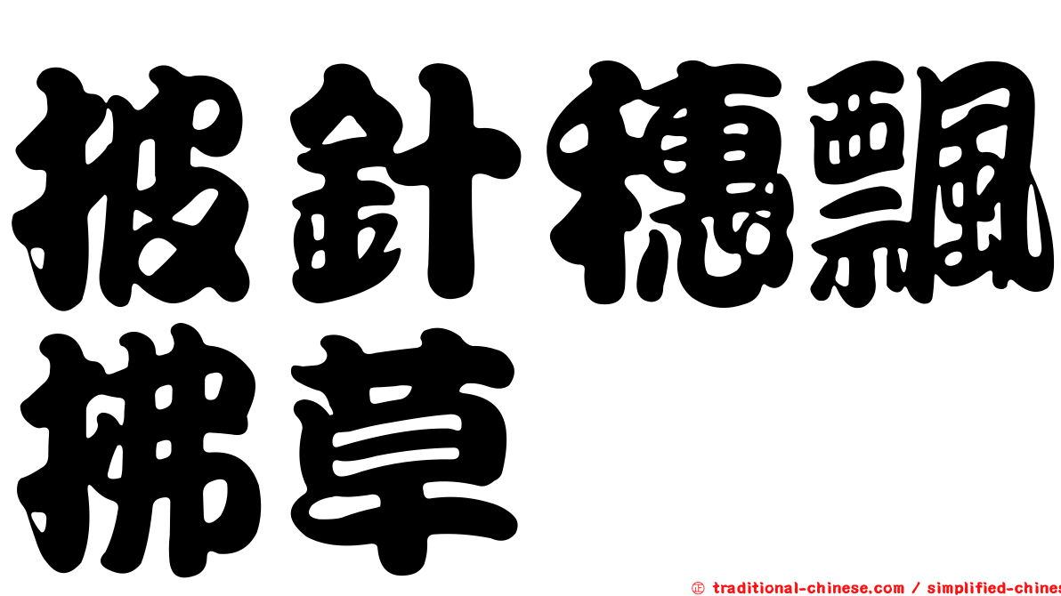 披針穗飄拂草