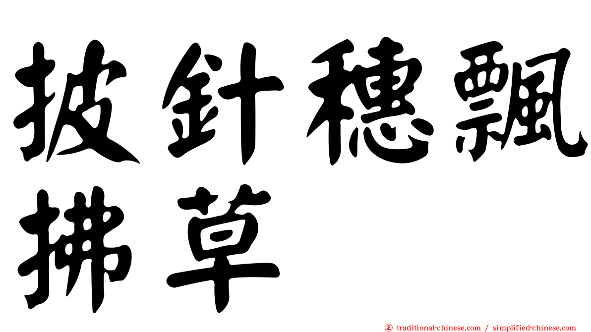 披針穗飄拂草