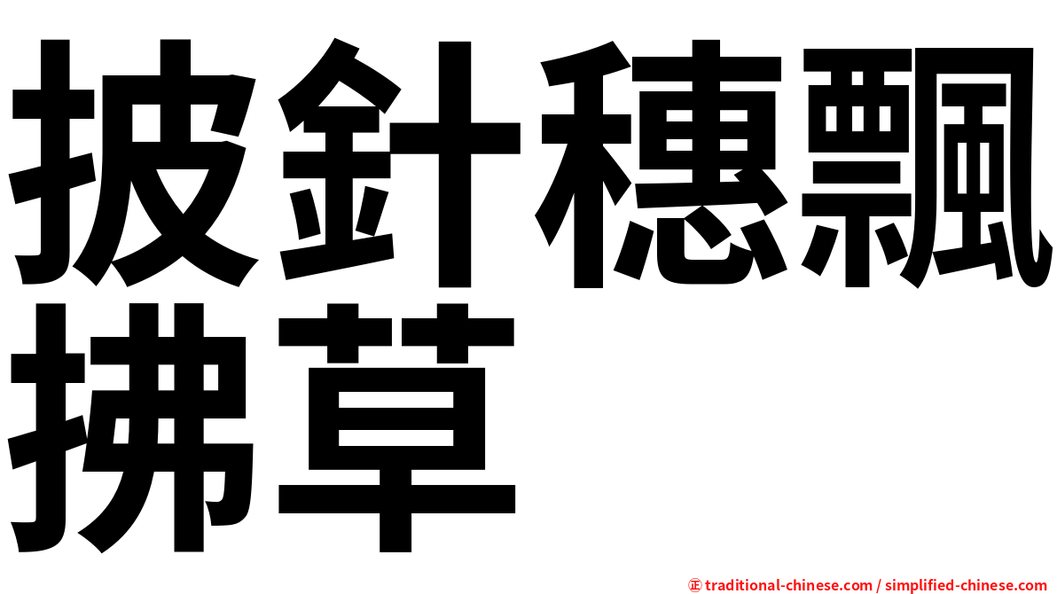 披針穗飄拂草