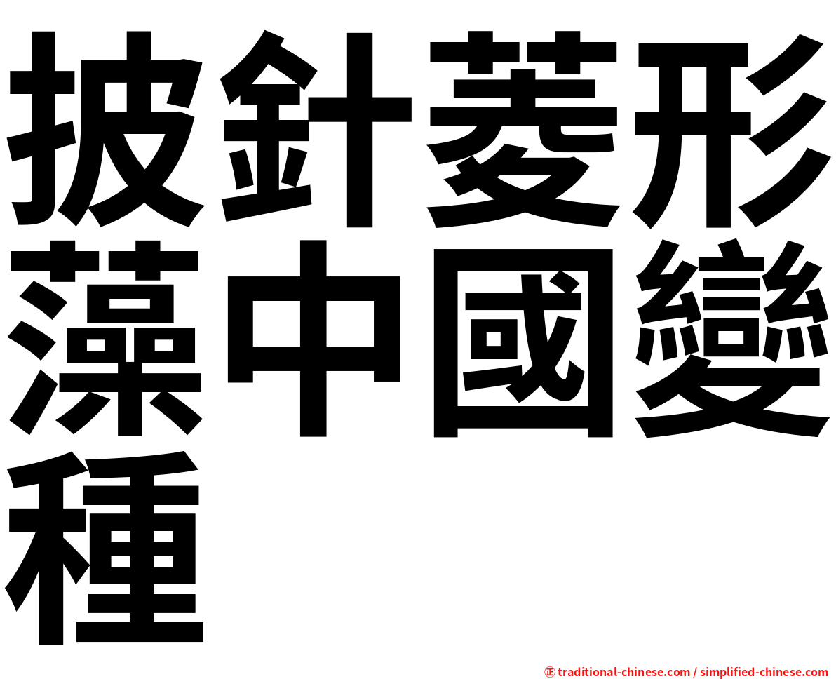披針菱形藻中國變種