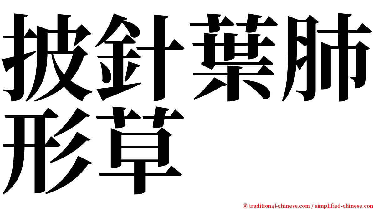 披針葉肺形草 serif font
