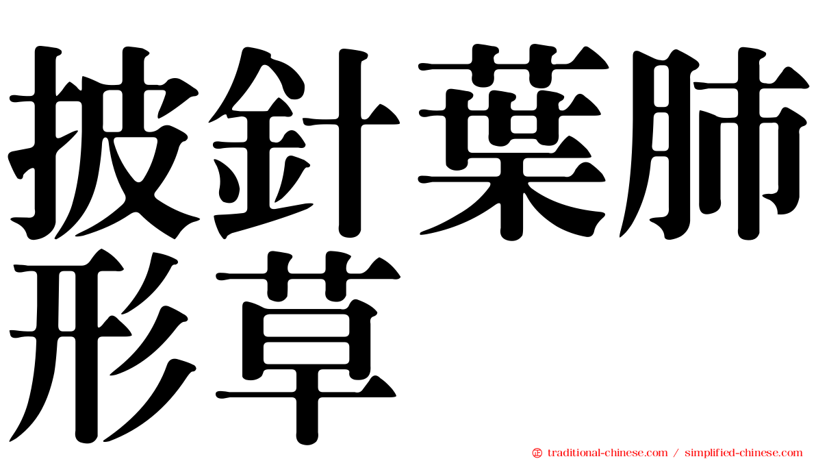 披針葉肺形草