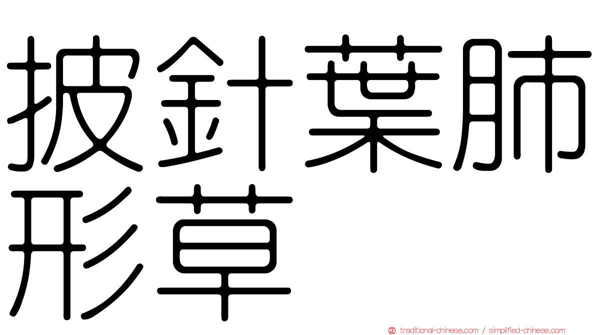 披針葉肺形草