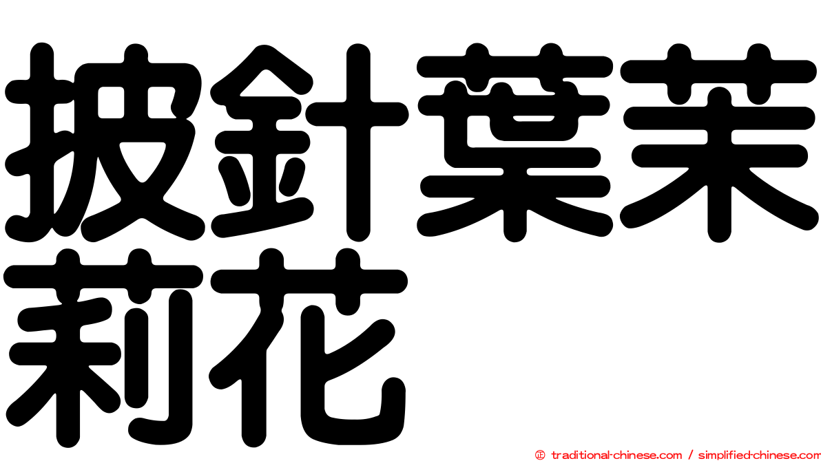 披針葉茉莉花