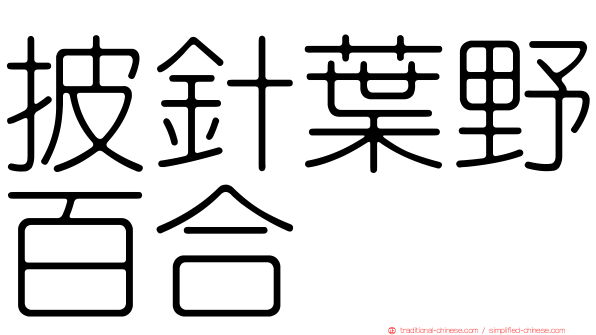 披針葉野百合