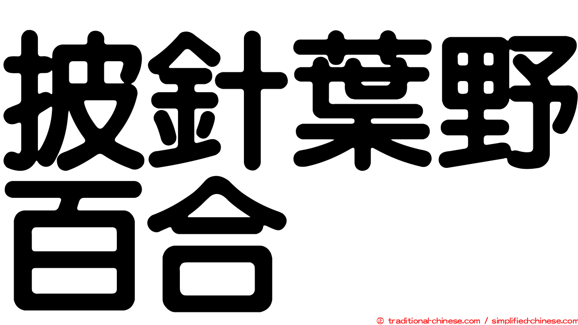 披針葉野百合