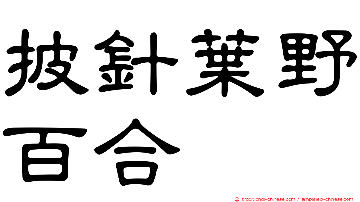 披針葉野百合