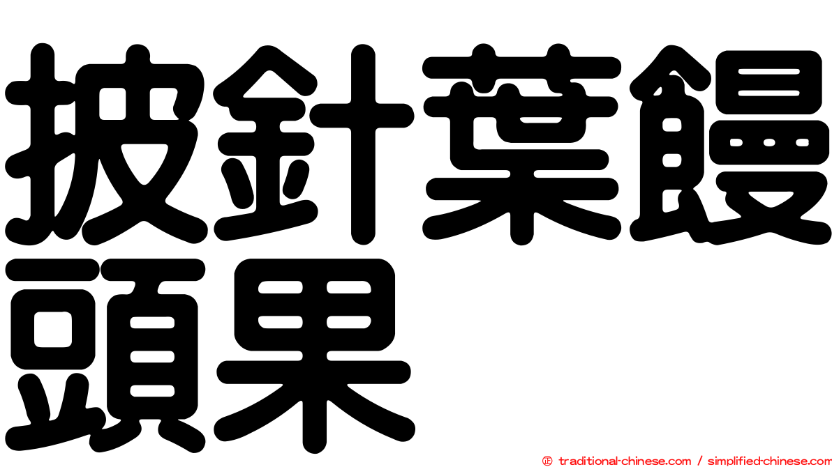 披針葉饅頭果