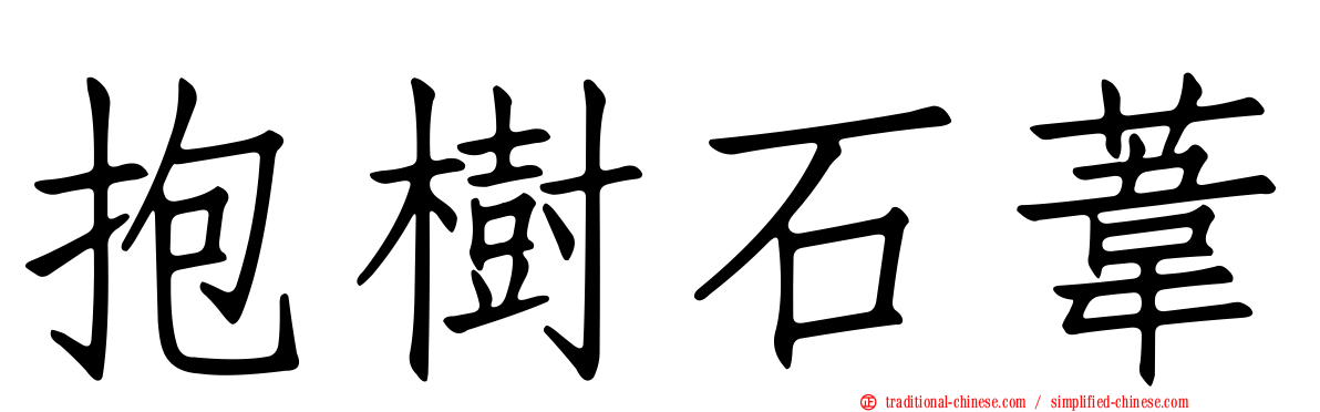 抱樹石葦