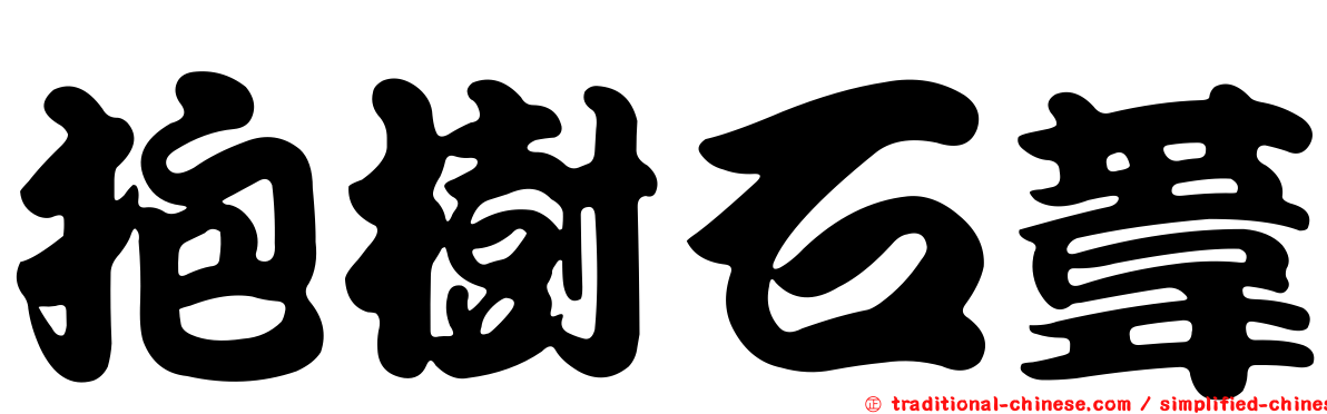 抱樹石葦