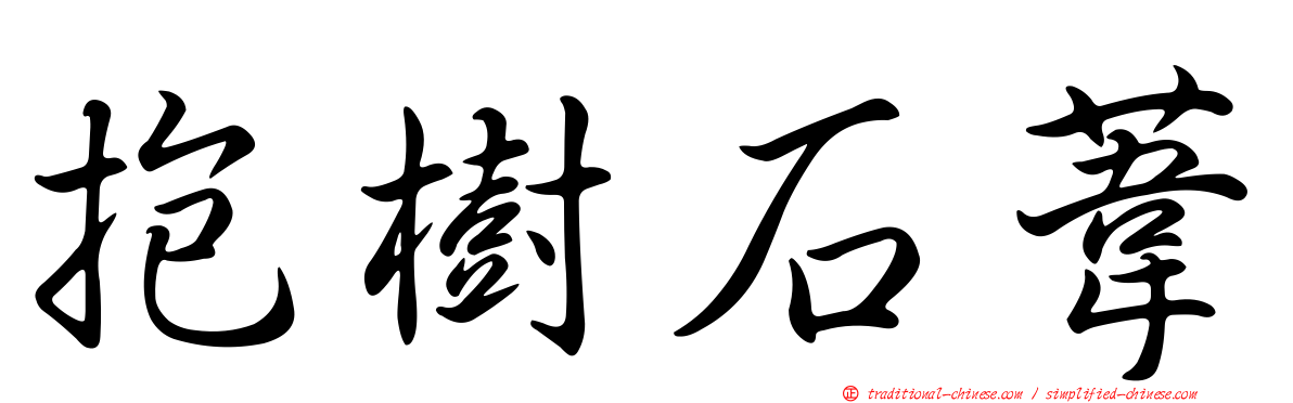抱樹石葦