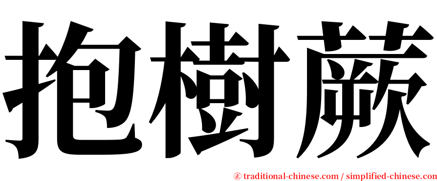 抱樹蕨 serif font