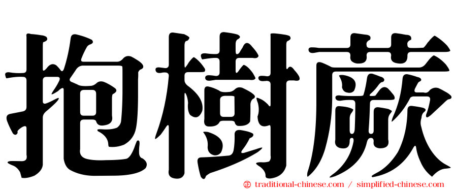 抱樹蕨