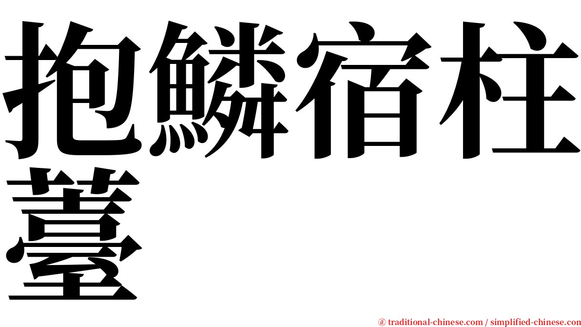 抱鱗宿柱薹 serif font