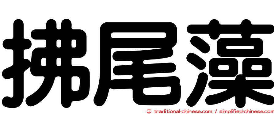 拂尾藻