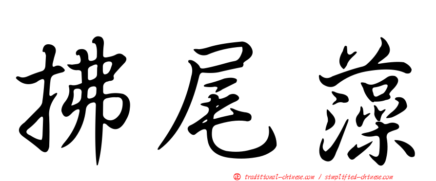 拂尾藻
